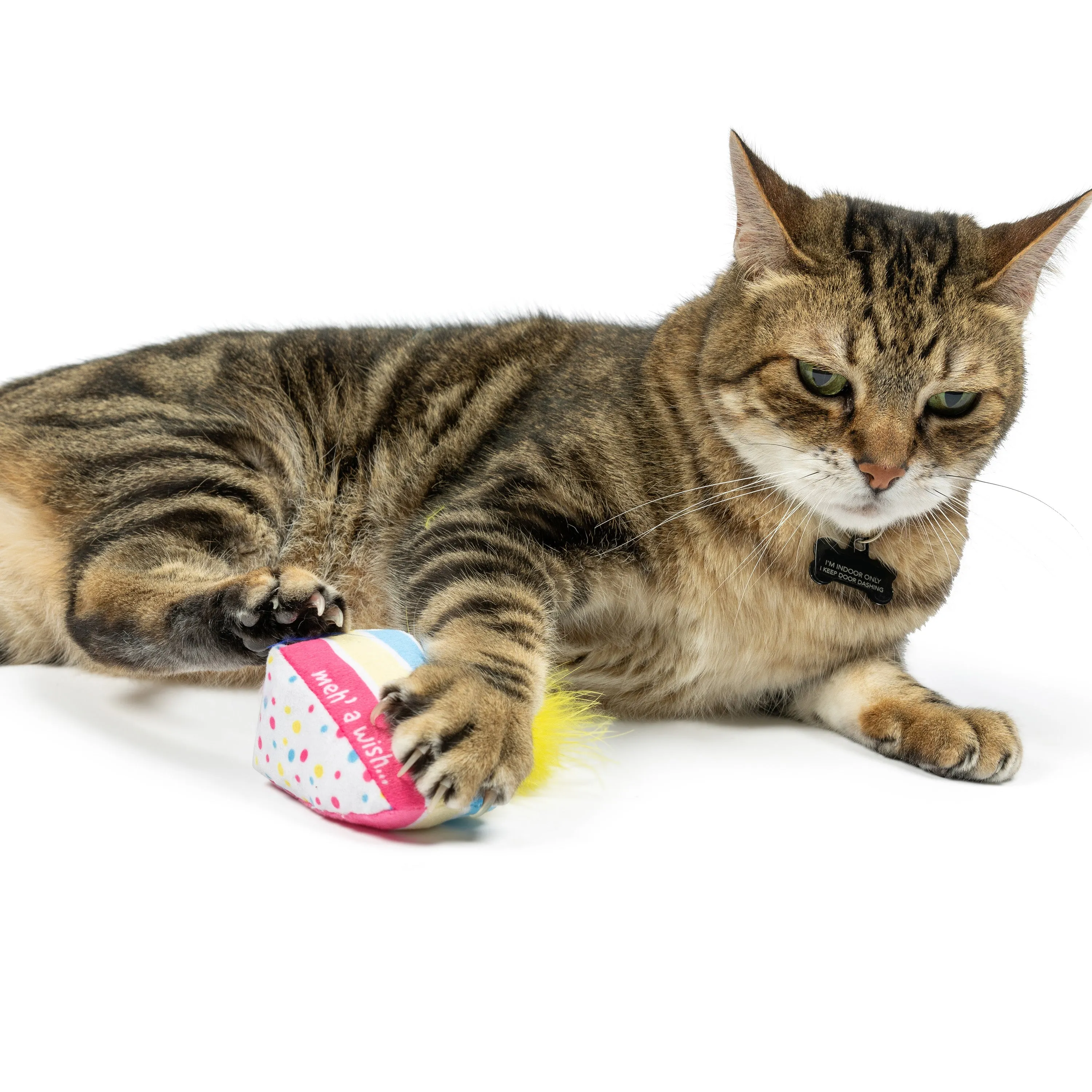 Meh' a Wish Cake Cat Toy