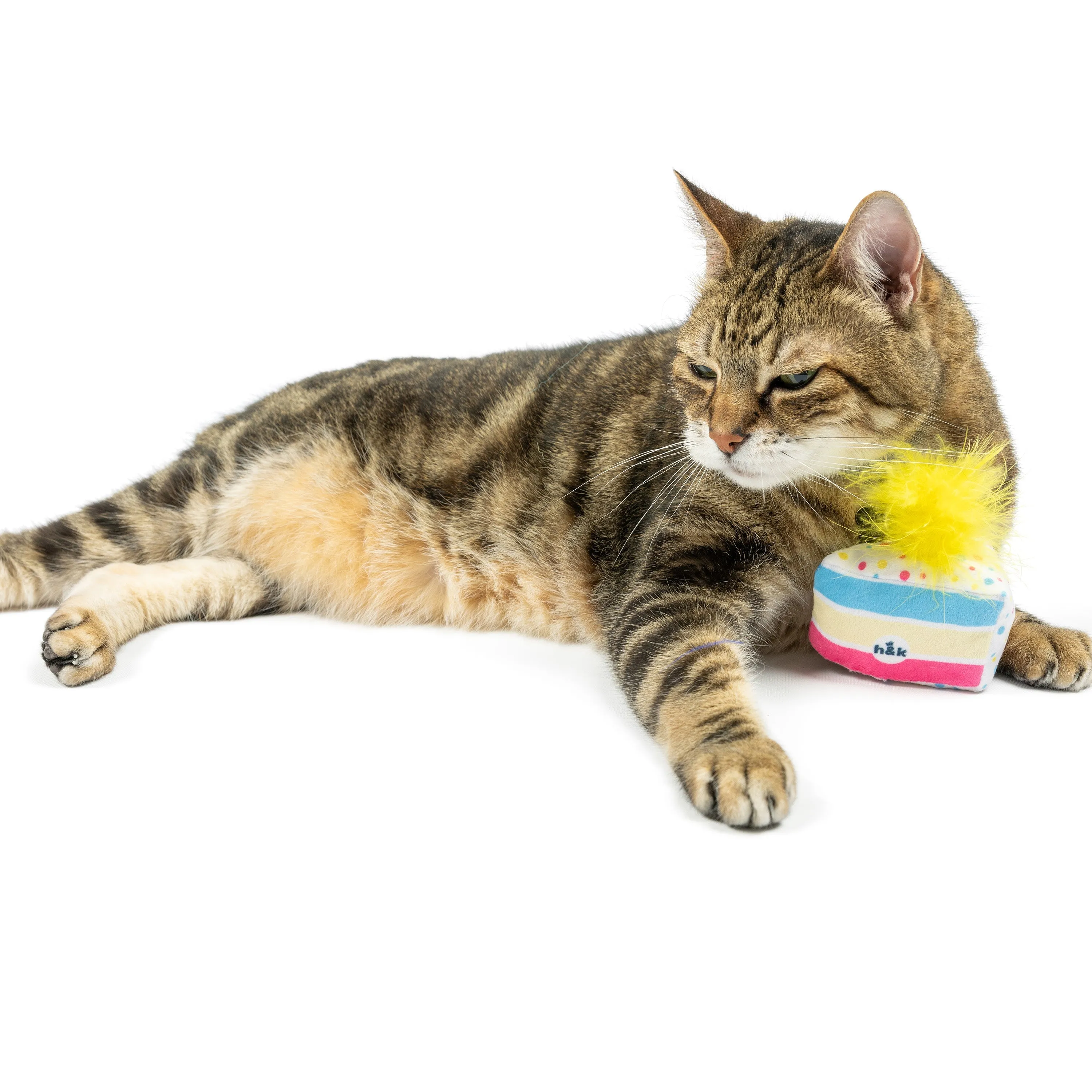 Meh' a Wish Cake Cat Toy