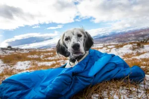 Non-stop - Ly Dog Sleeping Bag (3 Size Options) *Black Friday*