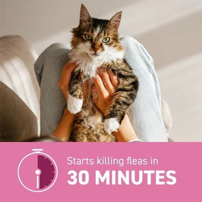 Open Box - Capstar Fast-Acting Oral Flea Treatment for Cats - 2-25 lbs/6ct