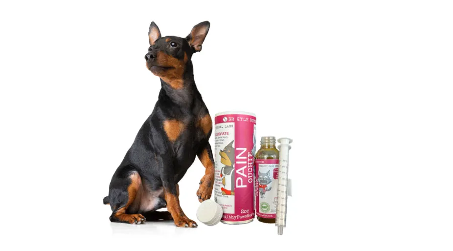 Ouchie - Pet Pain Relief Wholesale