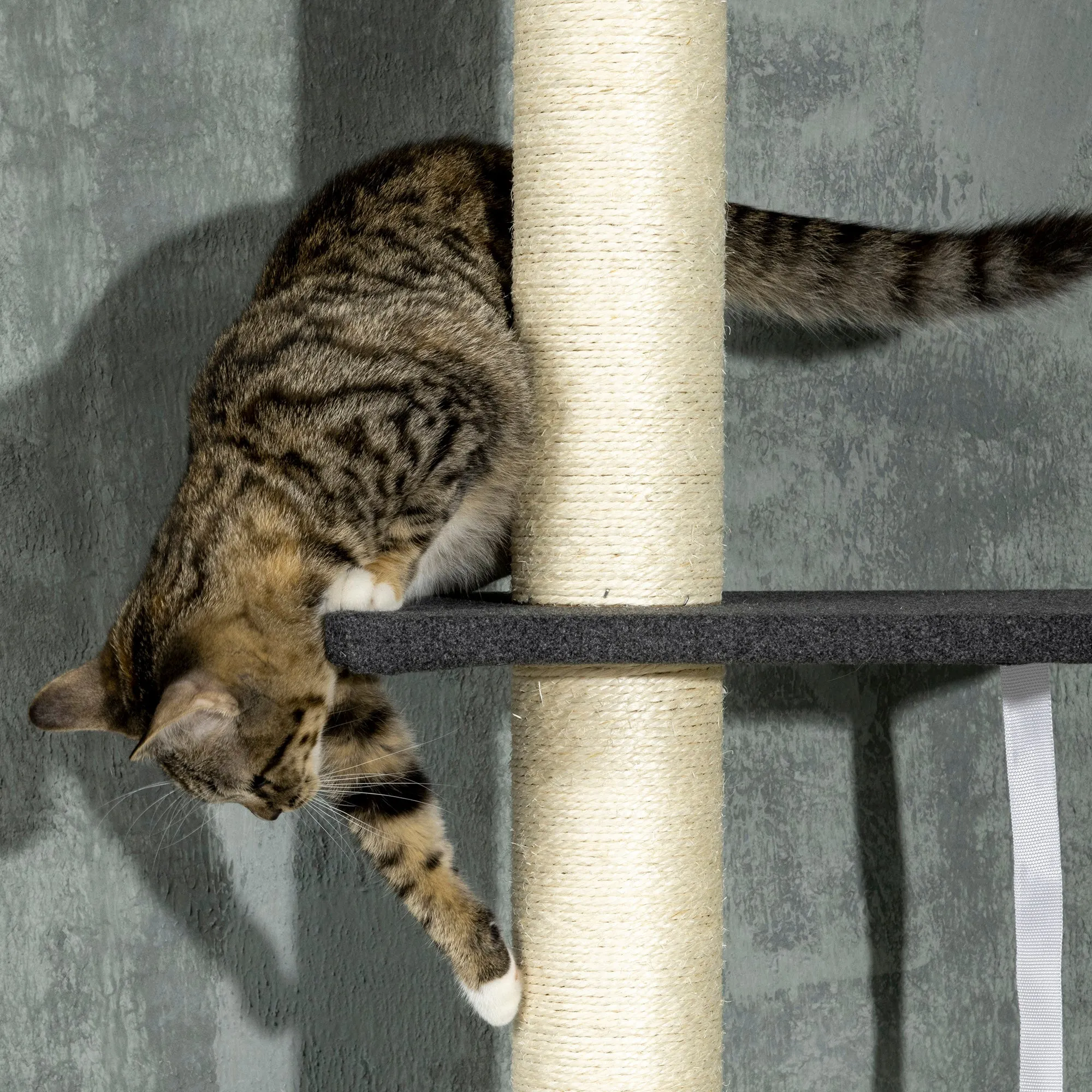 PawHut Floor-To-Ceiling Cat Tree, Height Adjustable, Black