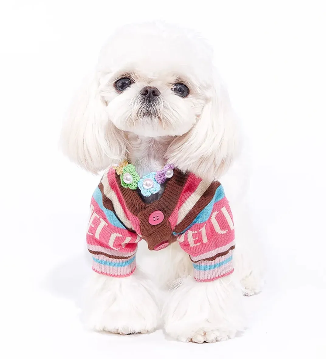 Pet Sweater: Cozy Clothes for Dogs and Cats in Autumn and Winter