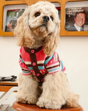 Pet Sweater: Cozy Clothes for Dogs and Cats in Autumn and Winter