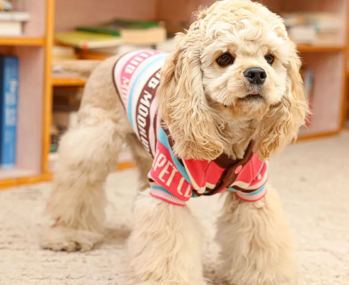 Pet Sweater: Cozy Clothes for Dogs and Cats in Autumn and Winter
