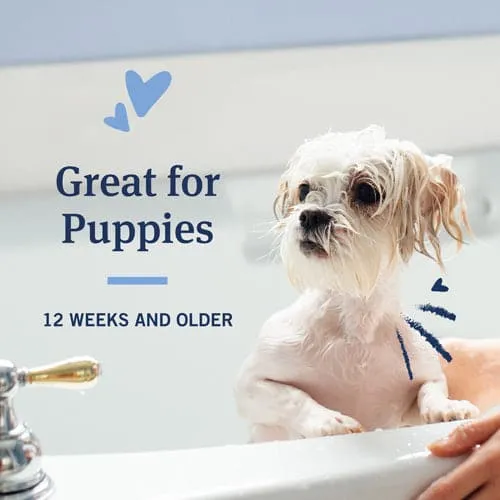 PetArmor® Flea & Tick Shampoo for Dogs