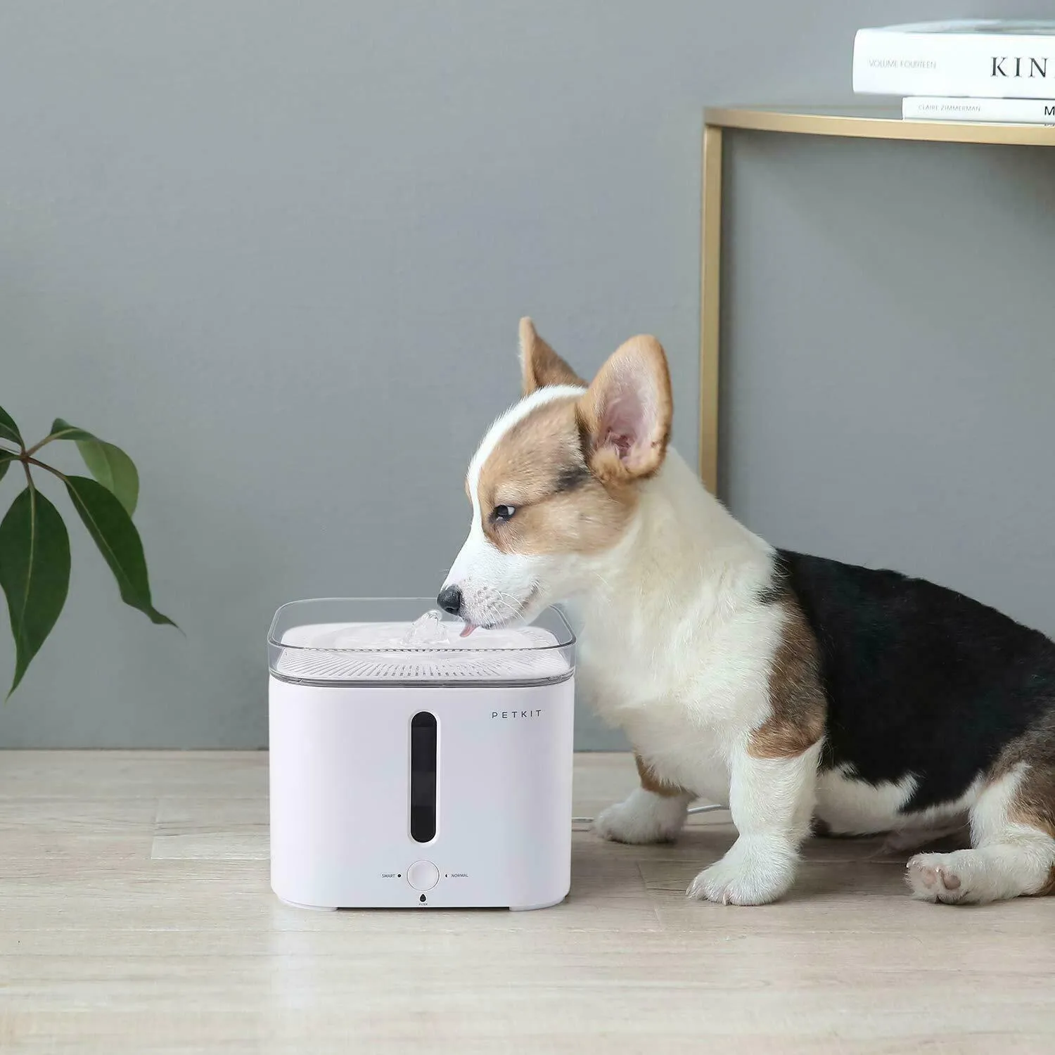 PETKIT EVERSWEET 2 Ultra-Silent Smart Water Drinking Fountain Pet Dog Cat Dispenser Feeder 2L