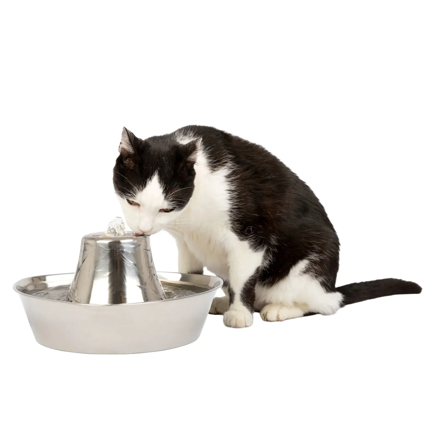 PetSafe Seaside Stainless Pet Fountain