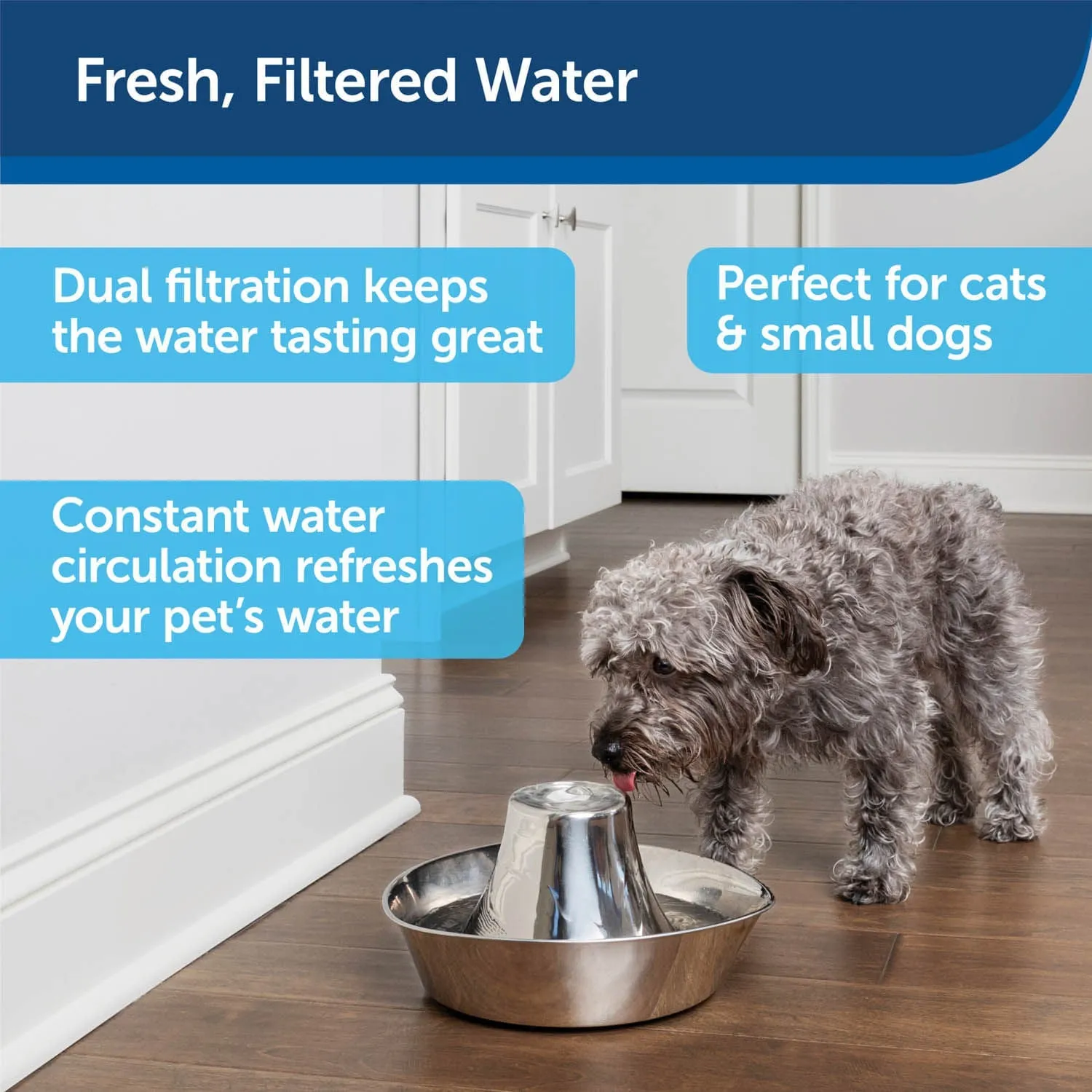 PetSafe Seaside Stainless Pet Fountain