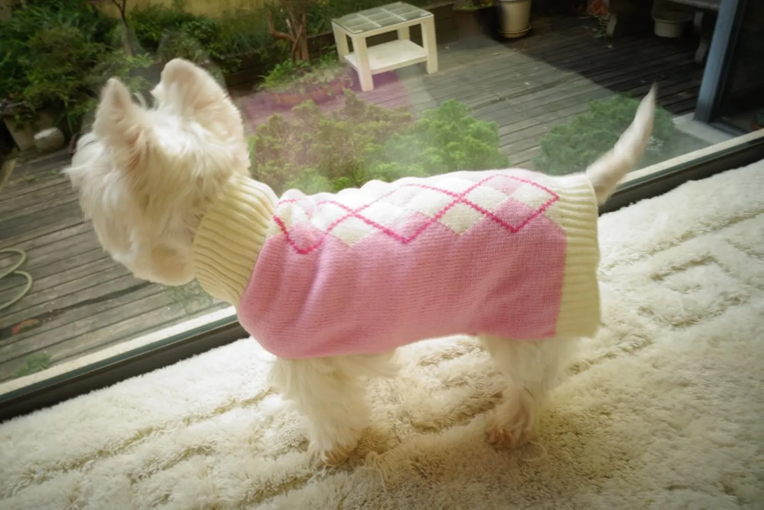 Pink Argyle Puppy Sweater for Girl Pet Sweater Knitwear for Dogs & Cats Warm Knitted Turtleneck X-Small (XS) Size