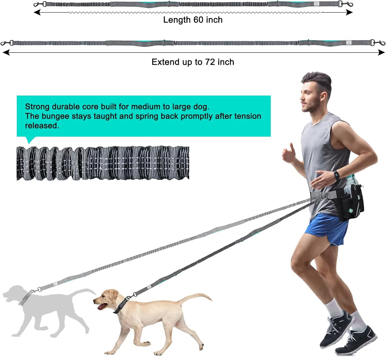 SHINE HAI Retractable Hands Free Dog Leash with Dual Bungees for Dogs, Adjustable Waist Belt Bag, Reflective Stitching Leash for Running Walking Hiking Jogging Biking (for 1 Dog)