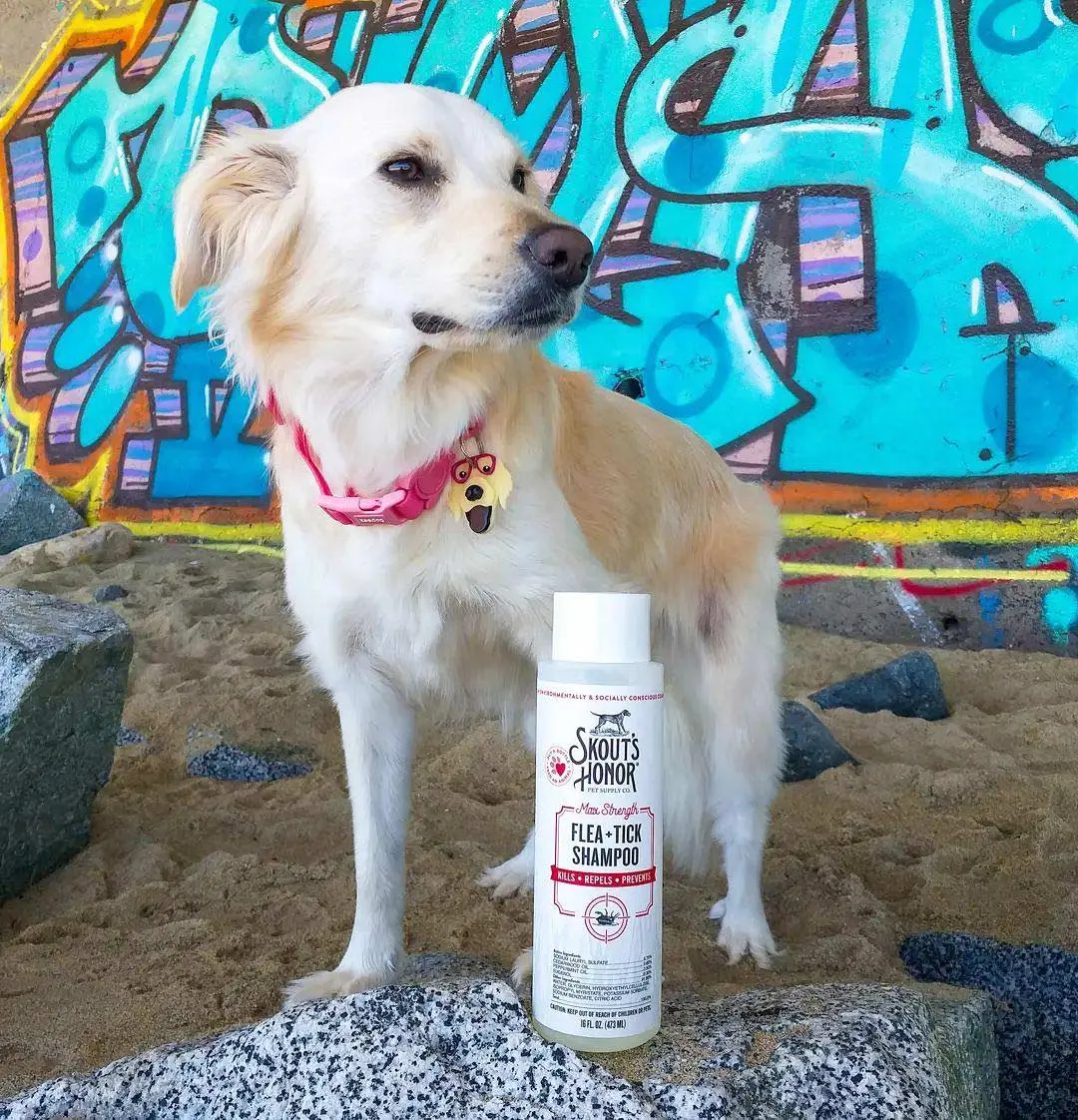 Skout's Honor Flea   Tick Shampoo for Dogs, 16 oz