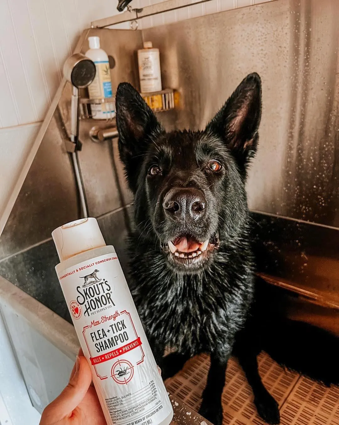 Skout's Honor Flea   Tick Shampoo for Dogs, 16 oz
