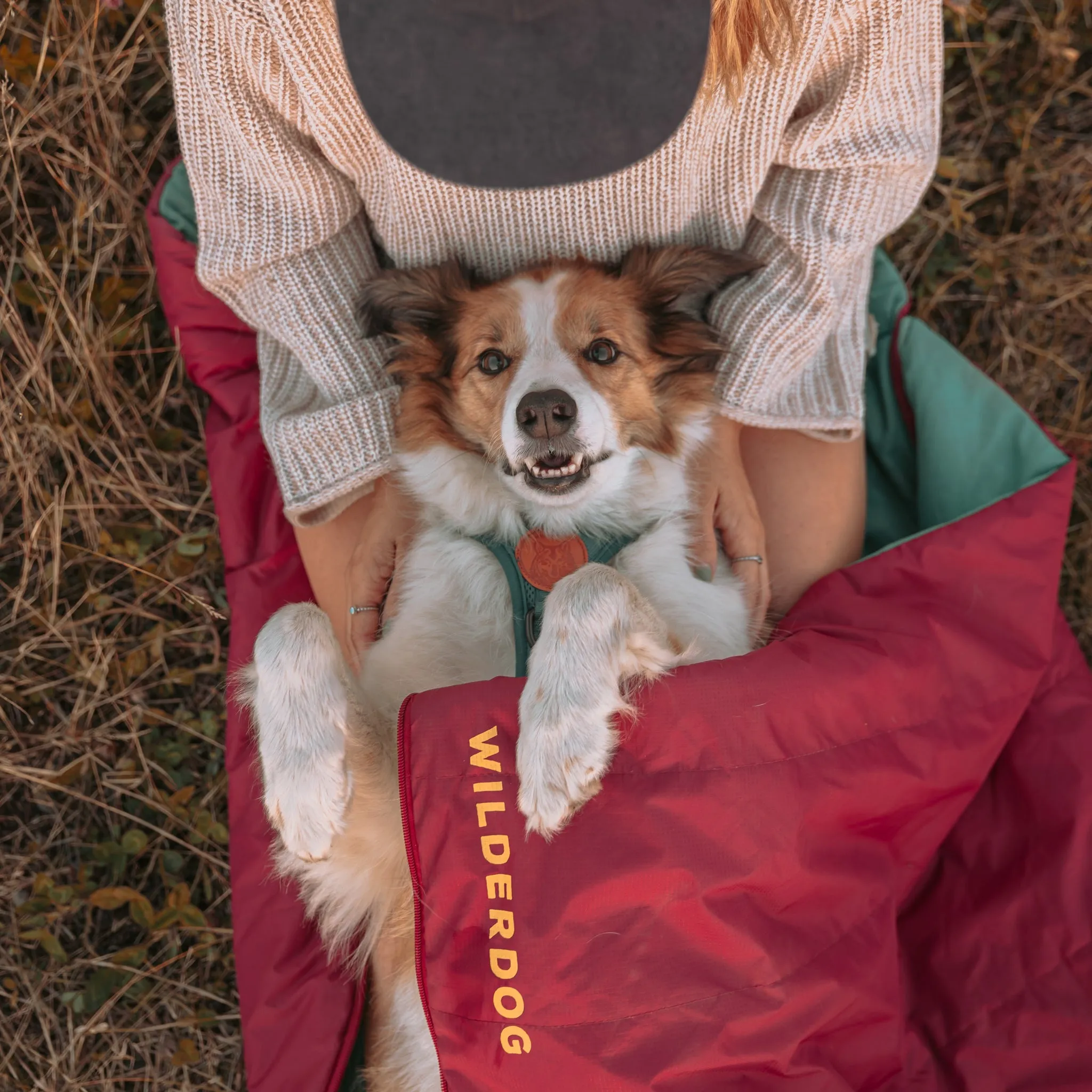 Sleeping Bag