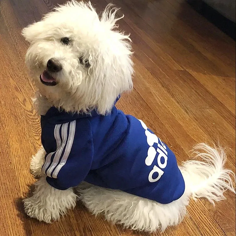 Sport Hoodie For All Sizes Pet