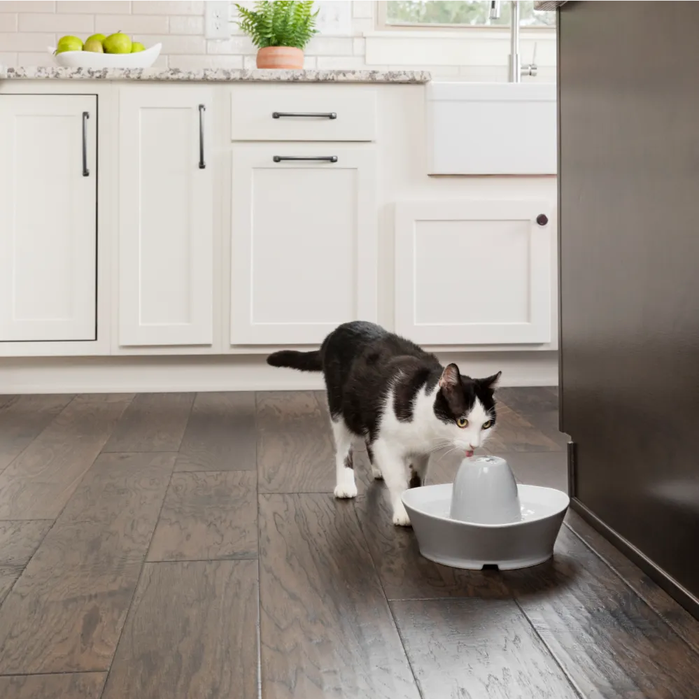 Streamside Ceramic Pet Fountain