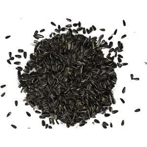Striped Sunflower Bird Seed