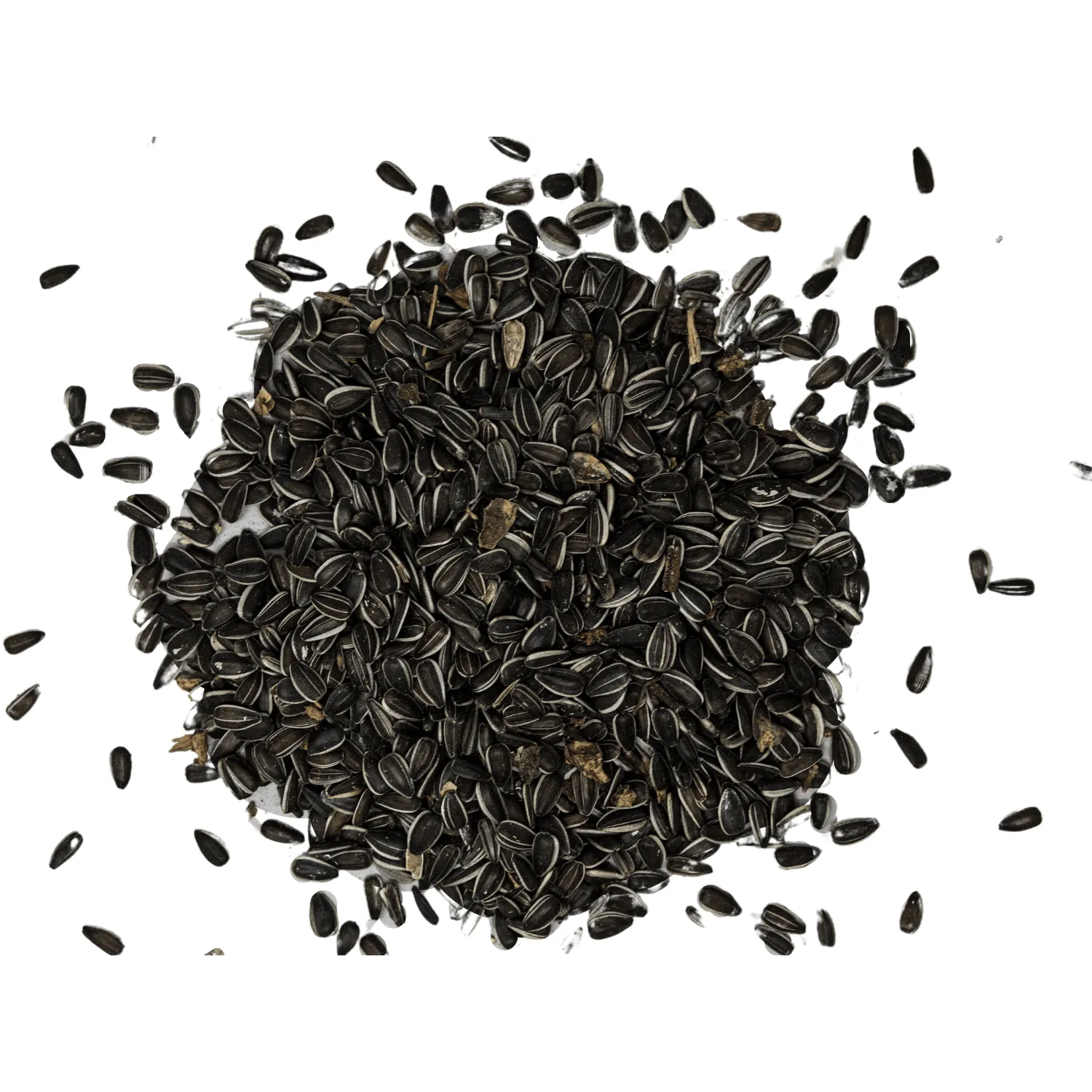 Striped Sunflower Bird Seed