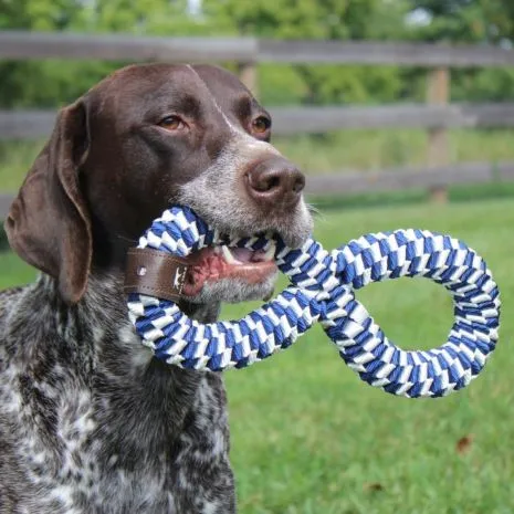 Tall Tails Dog Toy Braided Infinity Tug