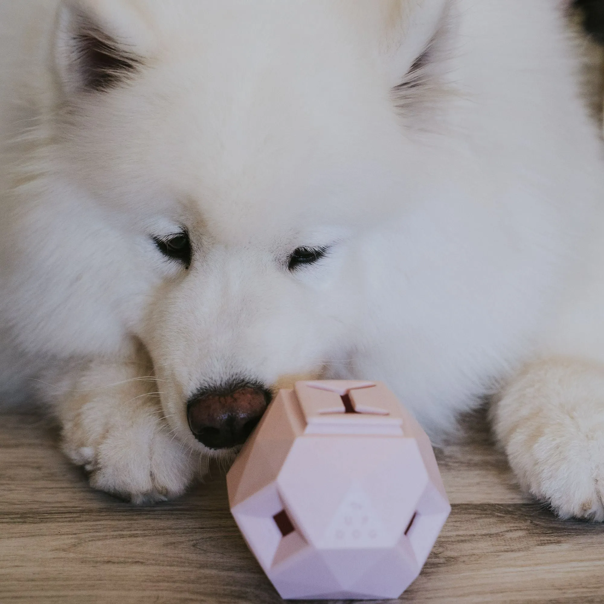The Odin Dog Treat Dispenser Toy Rose Quartz