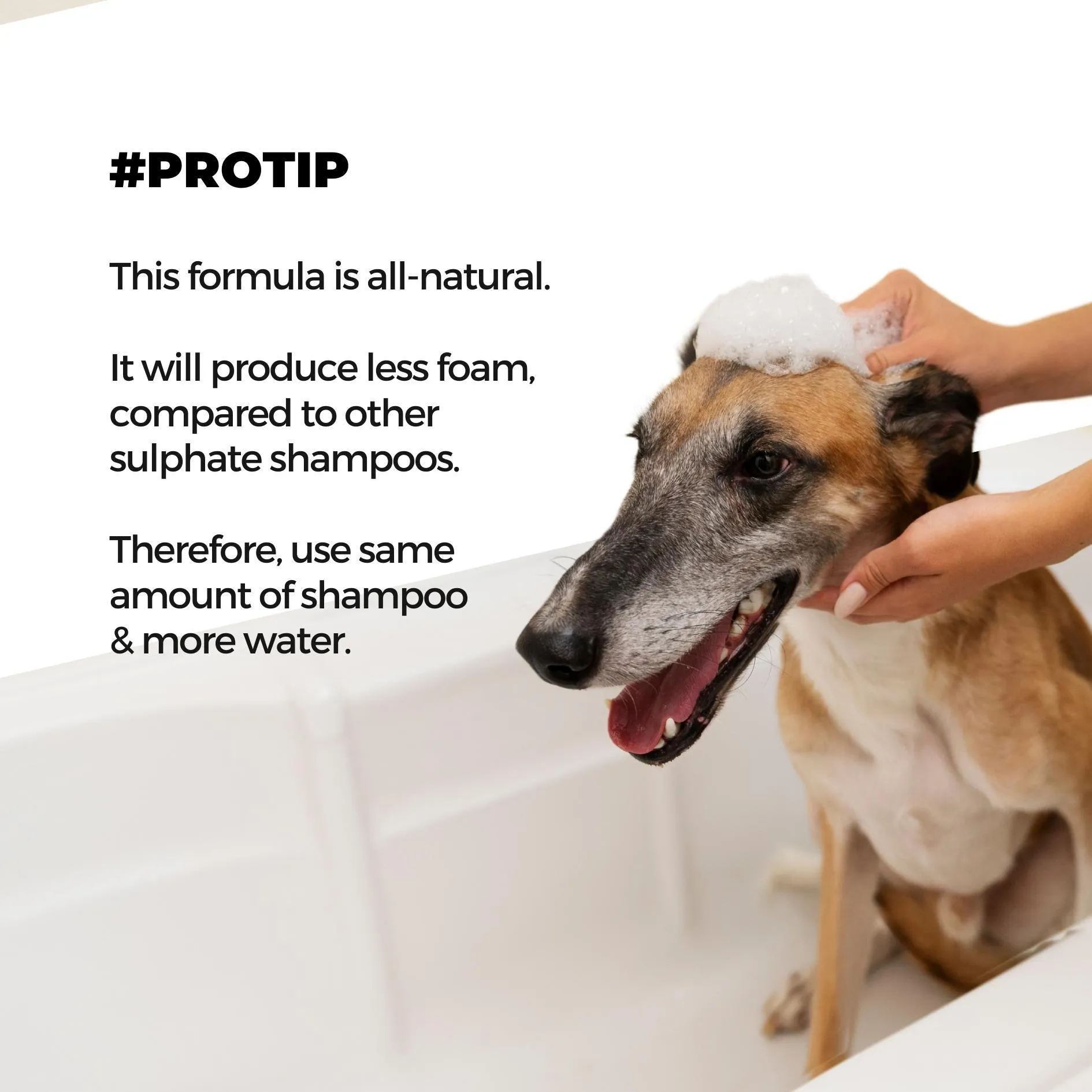 Tick Defense - Tick Free Shampoo for Dogs and Cats