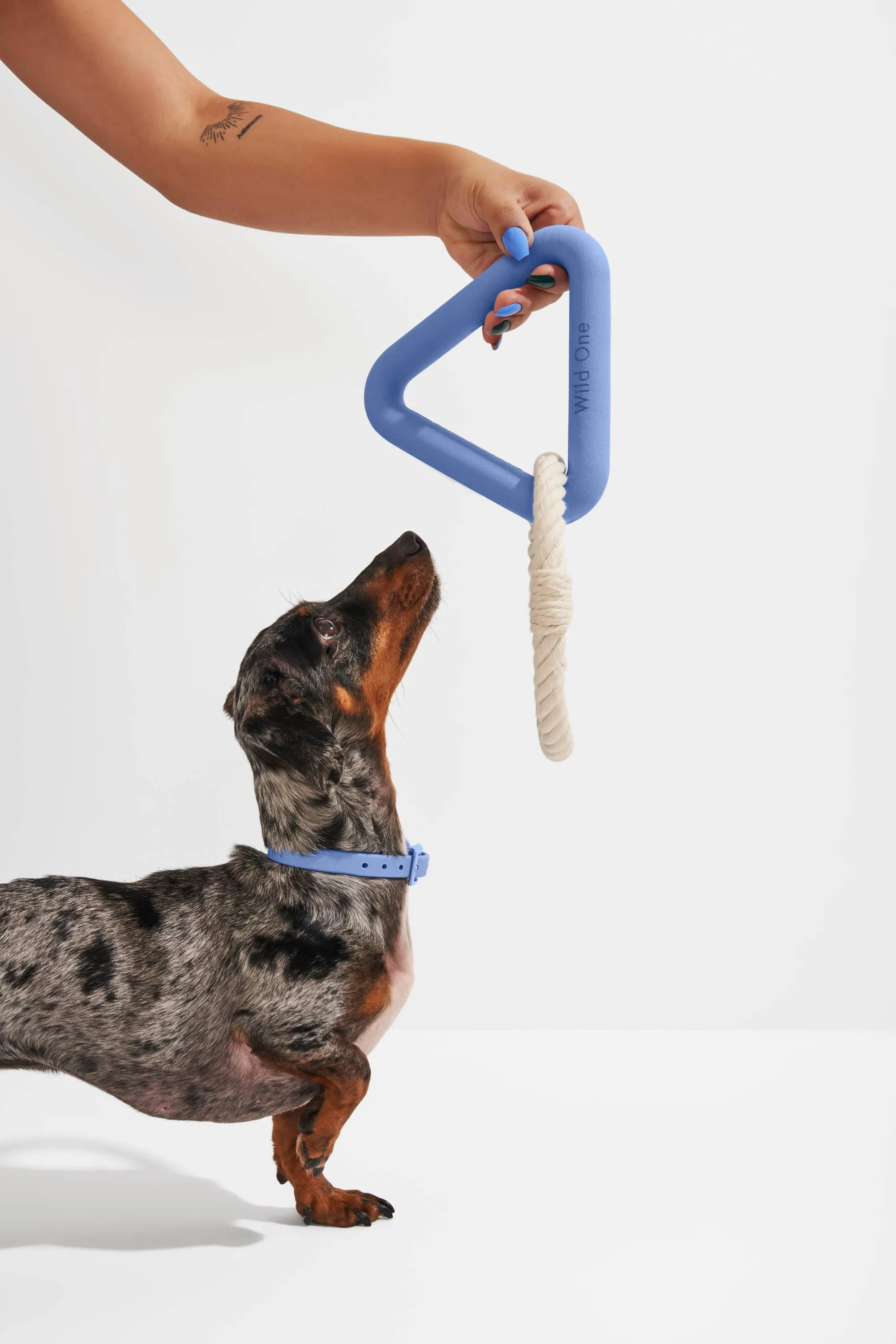 Triangle Tug Dog Chew Toy: SMALL / Strawberry