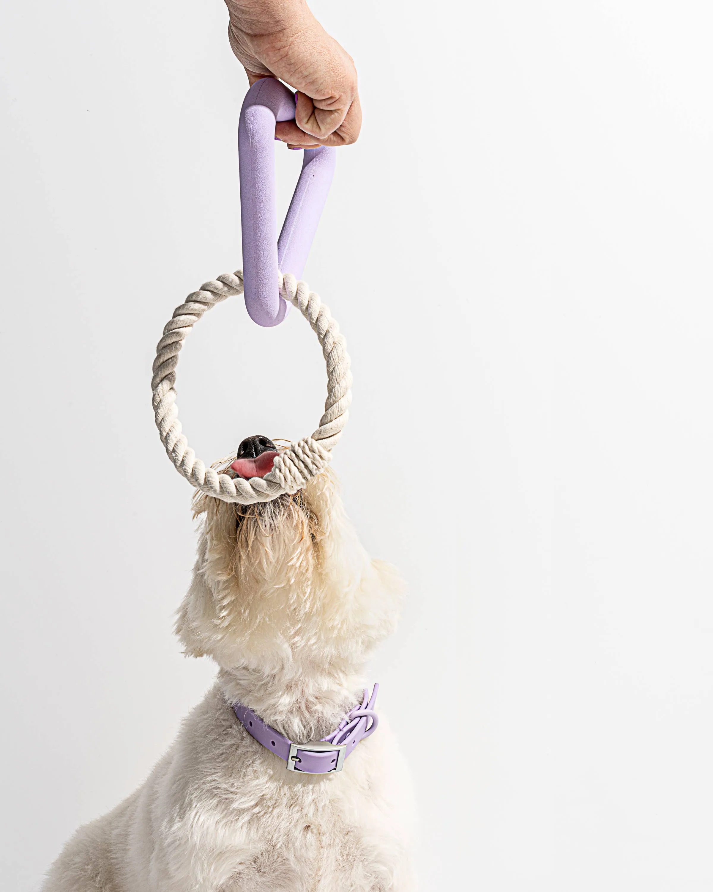 Triangle Tug Dog Chew Toy: SMALL / Strawberry