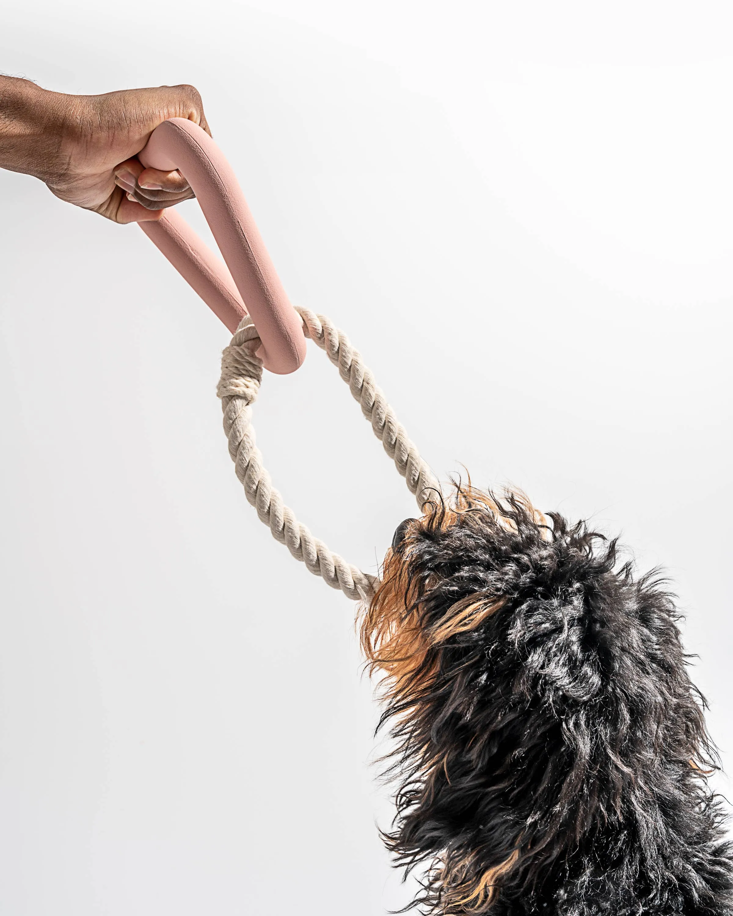 Triangle Tug Dog Chew Toy: SMALL / Strawberry