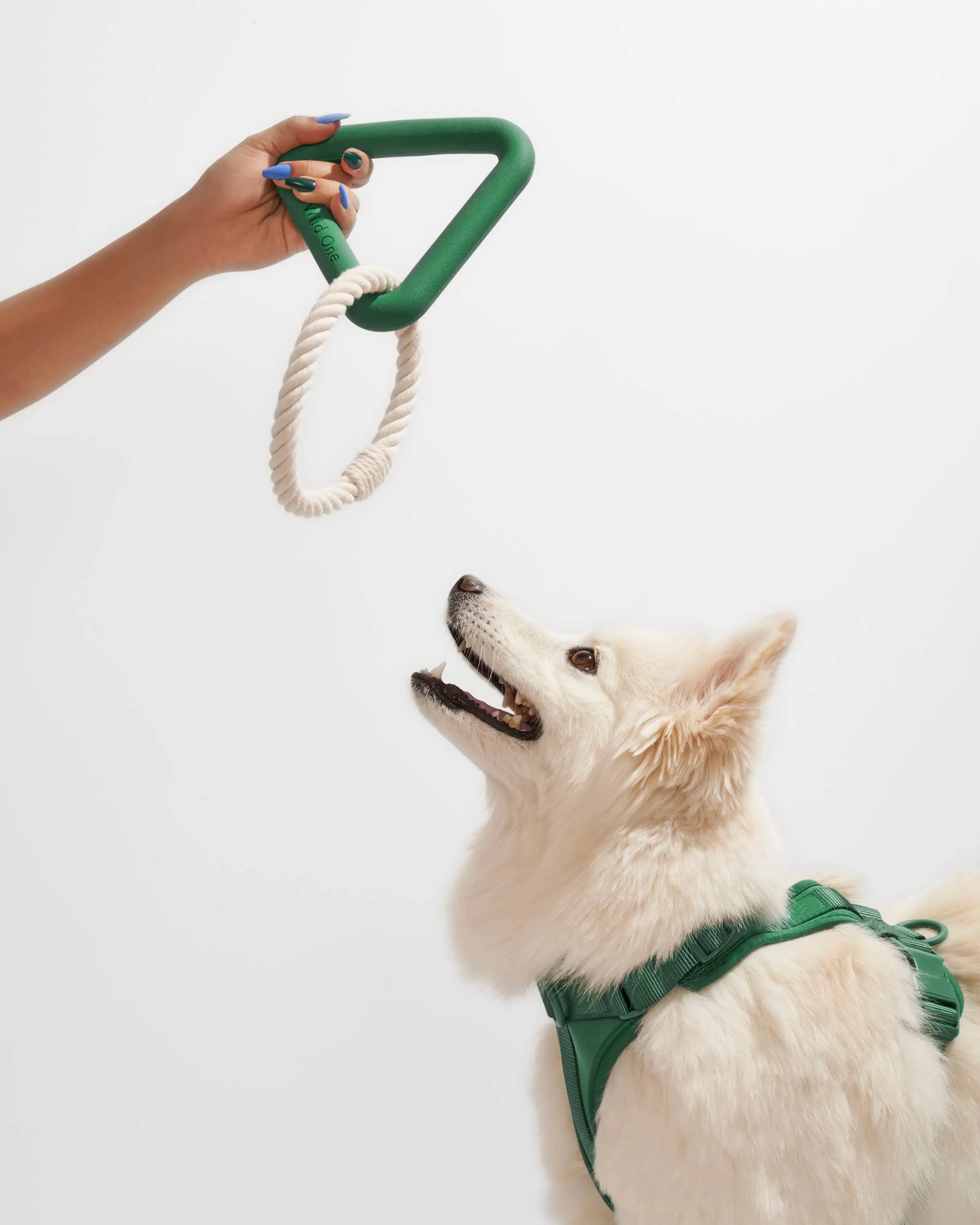 Triangle Tug Dog Chew Toy: SMALL / Strawberry