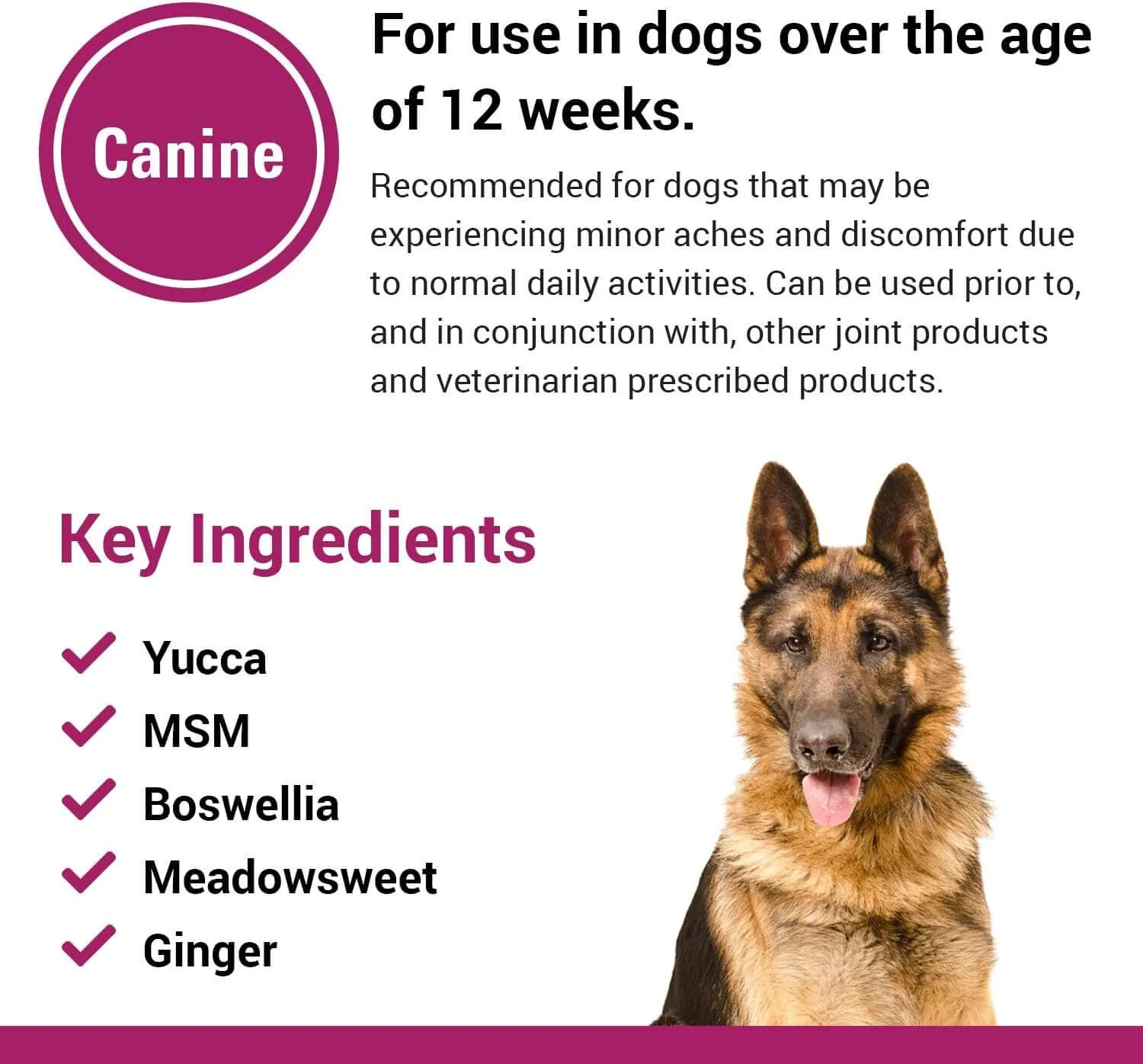 Vet Classics Pain Plus Supplement for Dogs