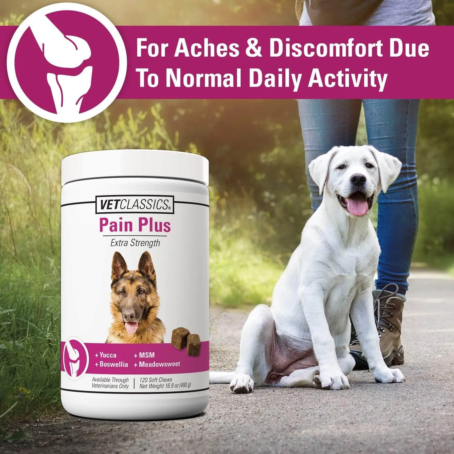 Vet Classics Pain Plus Supplement for Dogs