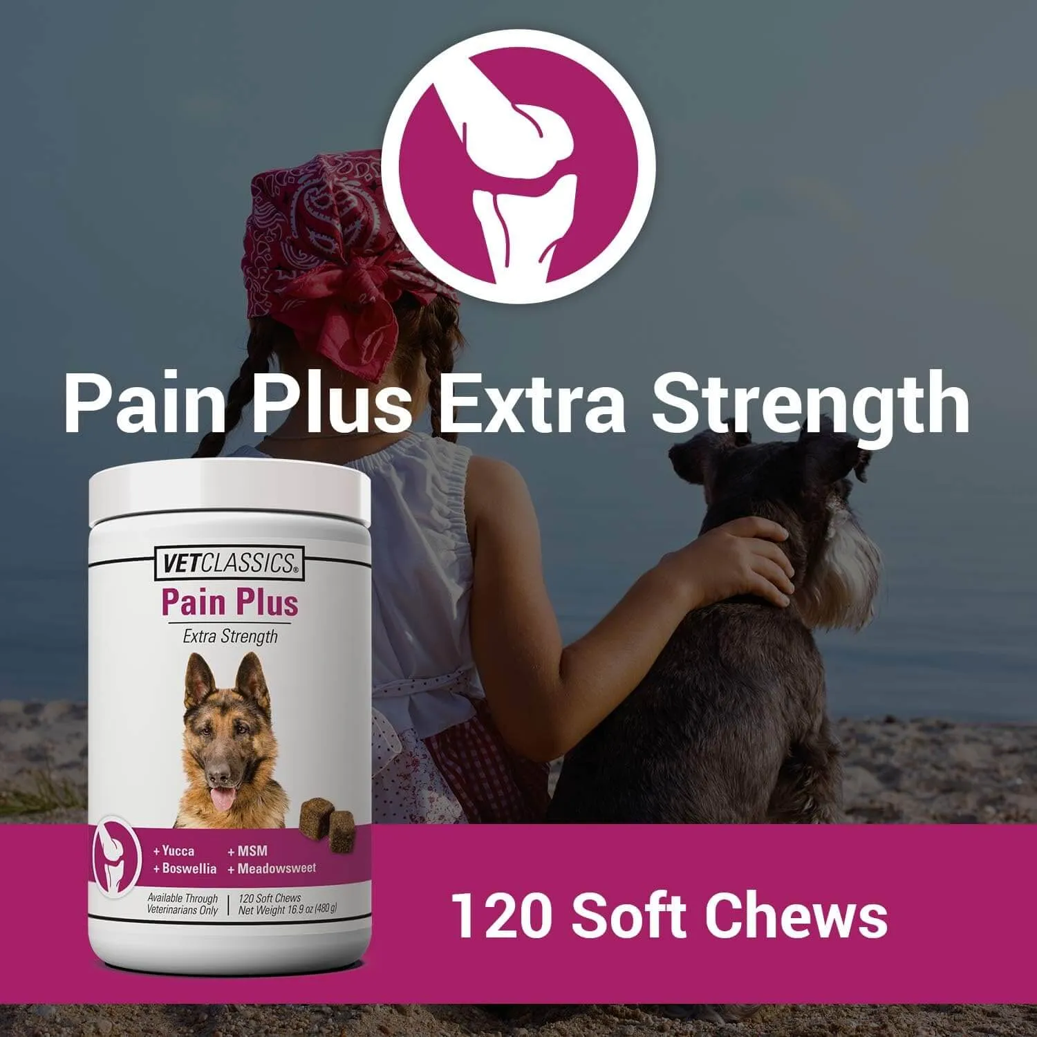 Vet Classics Pain Plus Supplement for Dogs