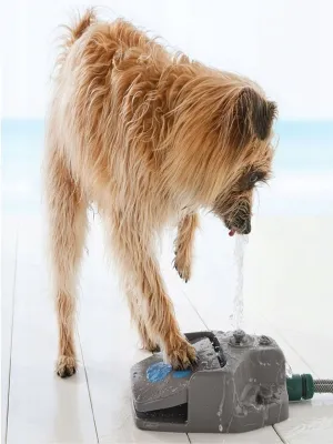 Water Fountain For Dogs