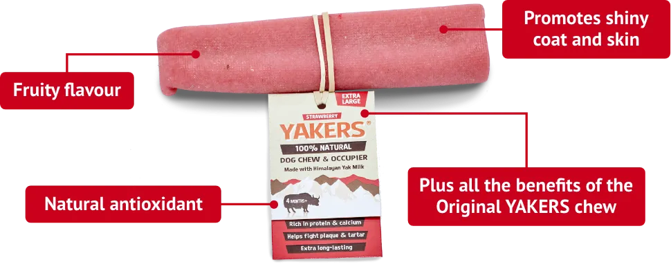 Yakers Strawberry | Himalyan Yak Milk | Hard Cheese Dog Chew - Medium